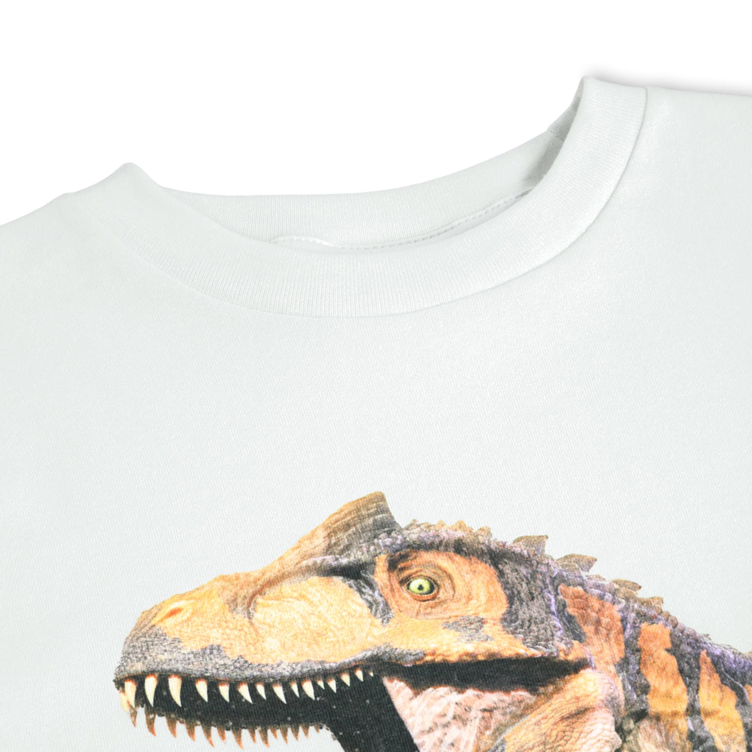 Seaside Dinos