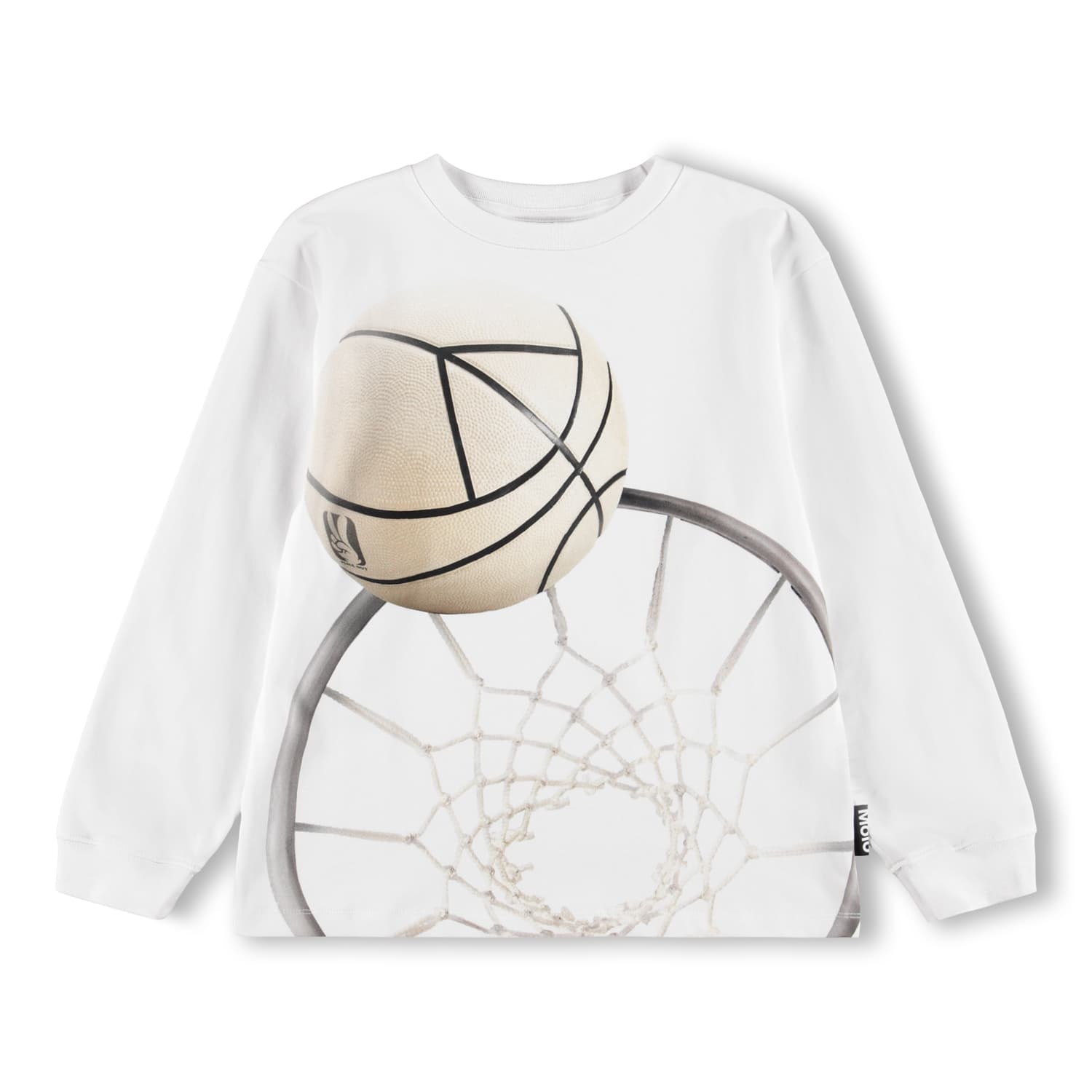 Basket Hoop Lt