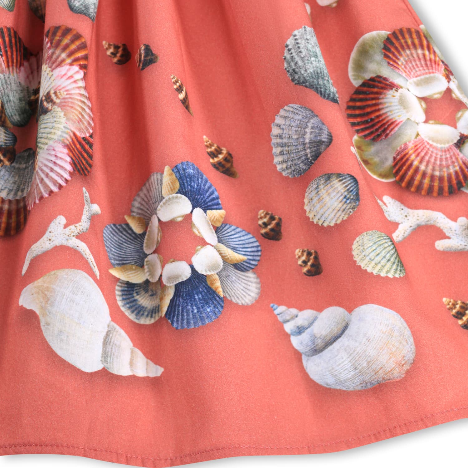 Decoration Shells