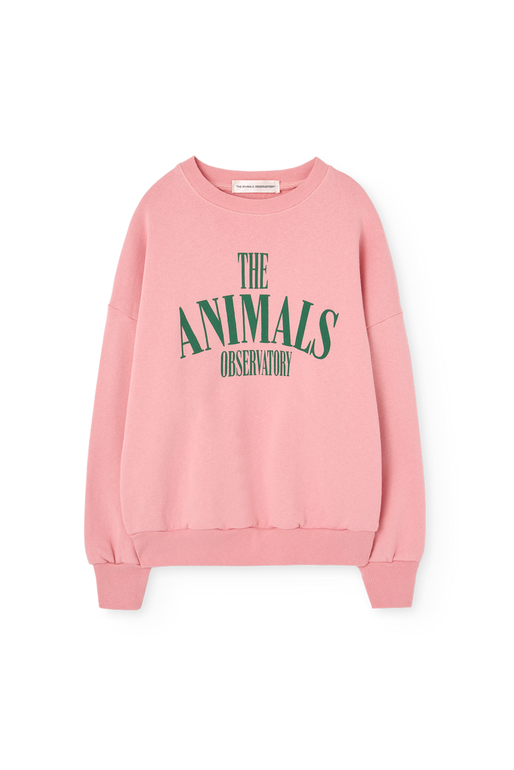 Killifish Kid Sweatshirt