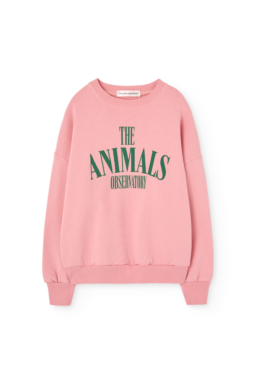 Killifish Kid Sweatshirt