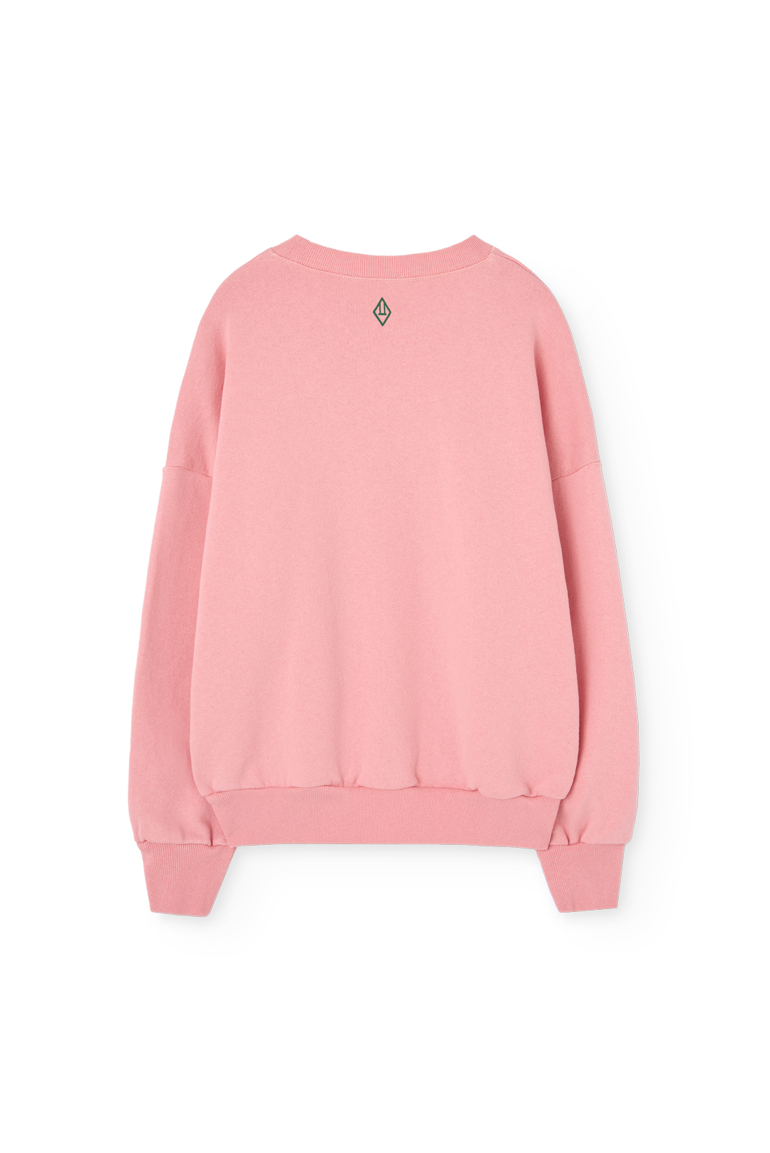 Killifish Kid Sweatshirt